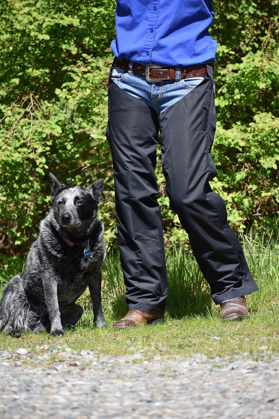 Thumbnail: Muddy Creek Rain CHAPS Black only
