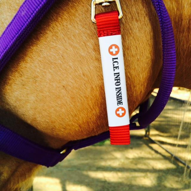 Thumbnail: I.C.E. Clip-On Horse &/or Rider ID Tag (pick color)