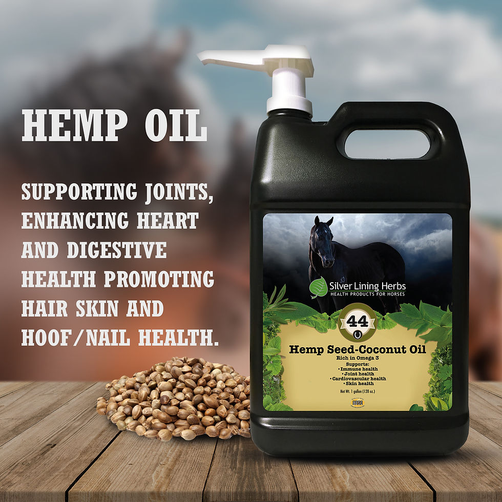 Thumbnail: Hemp-Seed Coconut Oil 1 Gal. +Pump (SilverLiningHerbs)