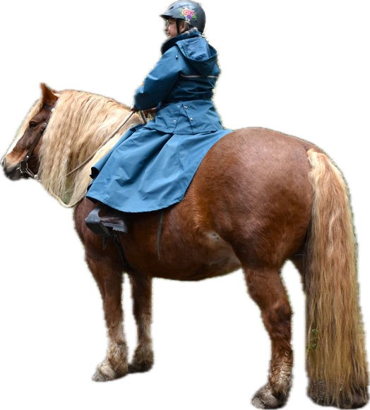 Thumbnail: Muddy Creek Rain Gear Riding Rain SKIRT
