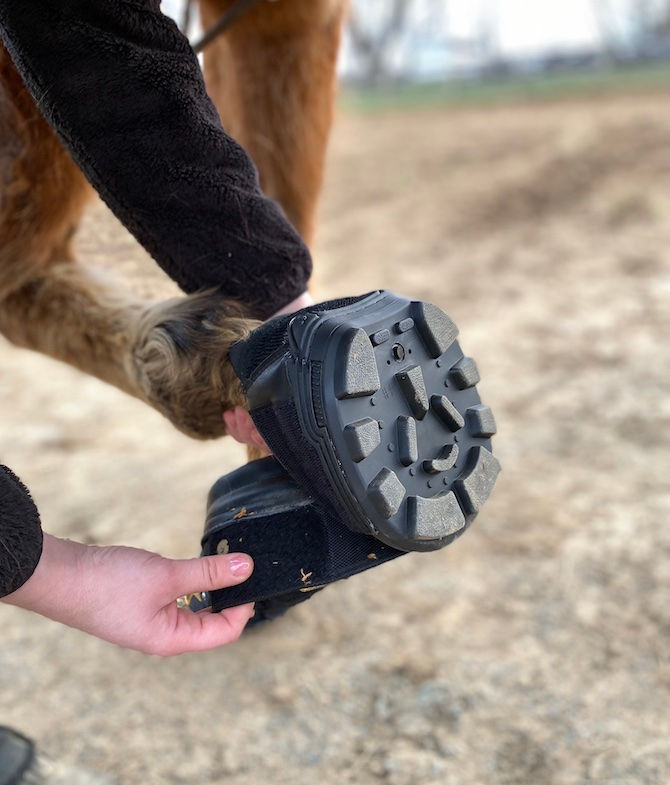 Thumbnail: EasyBoot New Trail, choose sizes 11 or 12