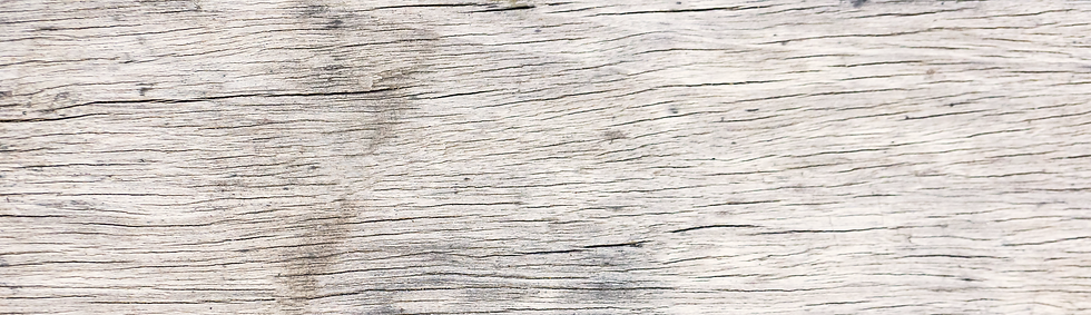 Wood land copy.png