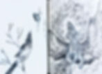 Bird Illustration by Tobias Crabtree.