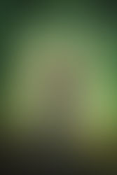 The Kiss of Deception