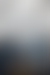 The Serpent & the Wings of Night