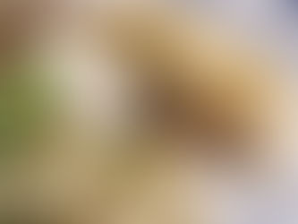 Tangy & Creamy Low FODMAP Tartar Sauce