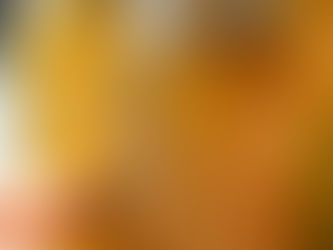 anti-inflammatory bone broth low fodmap