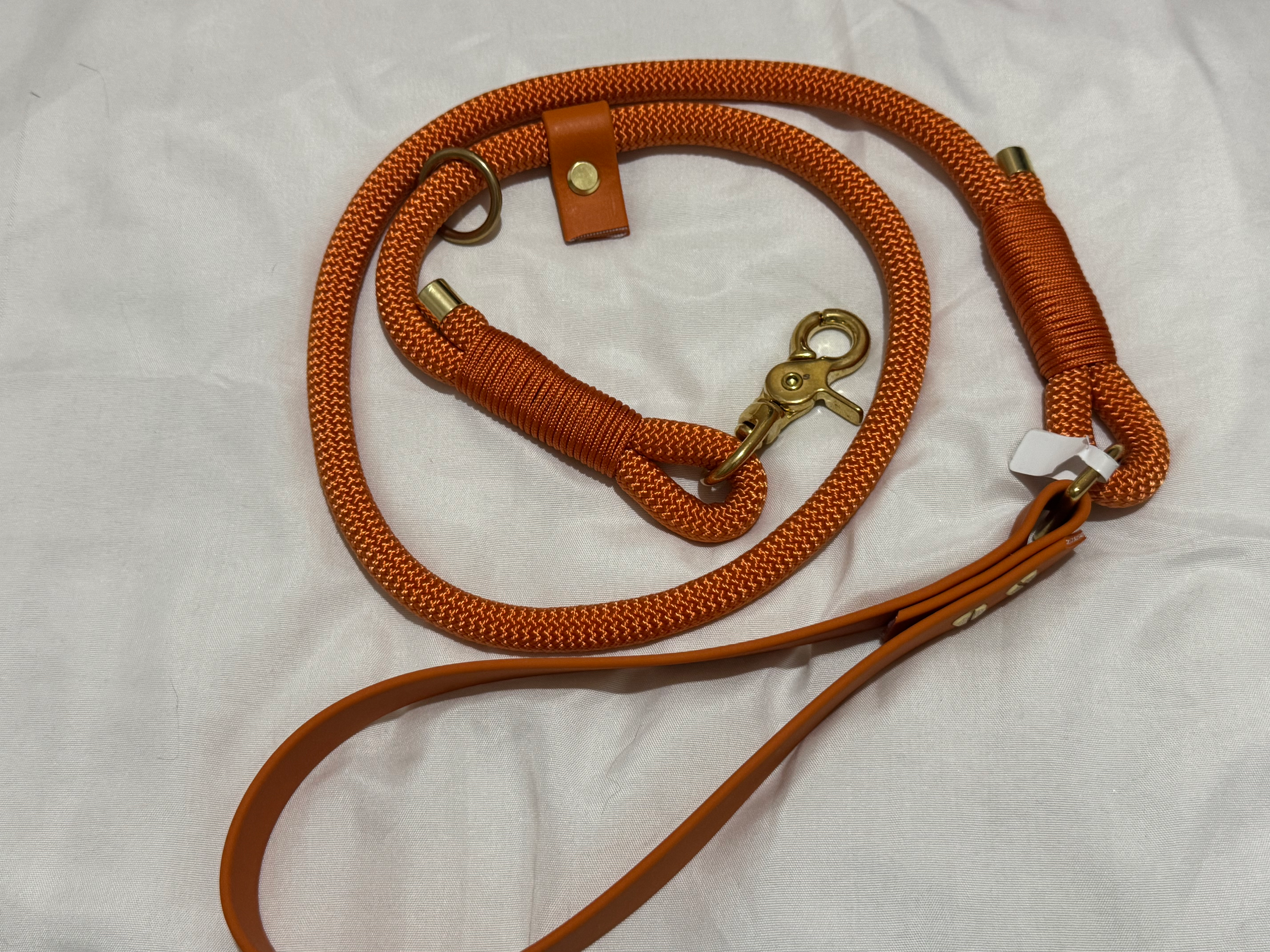 4ft clip and slip lead 
