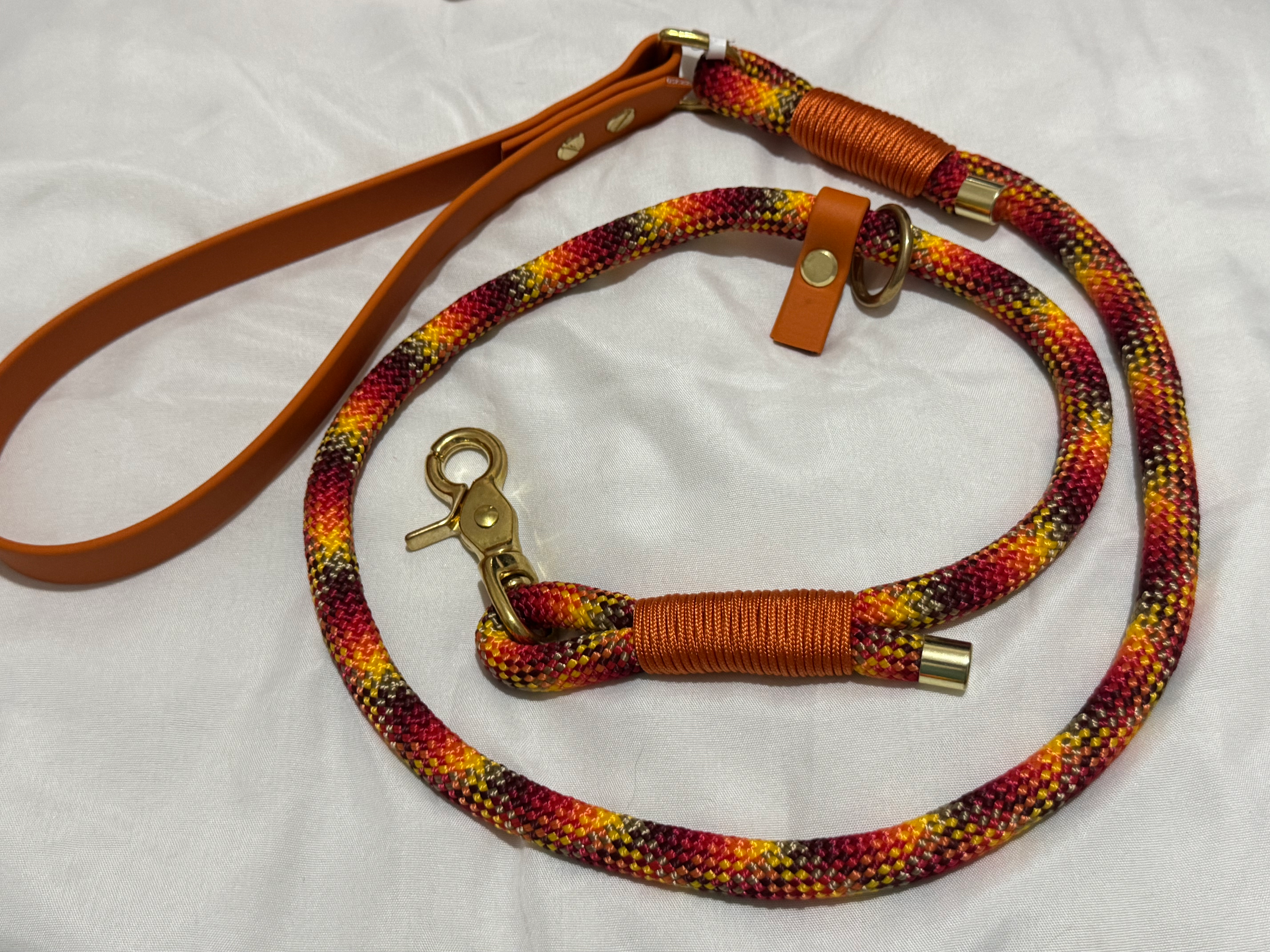 4ft clip and slip lead 