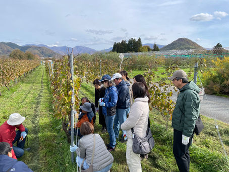 2025年　秋のイベント報告