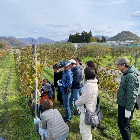 2025年　秋のイベント報告