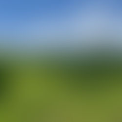 ＫＥＬＯＳ新聞　2023年７月1日　（山形ワインバル特別号）