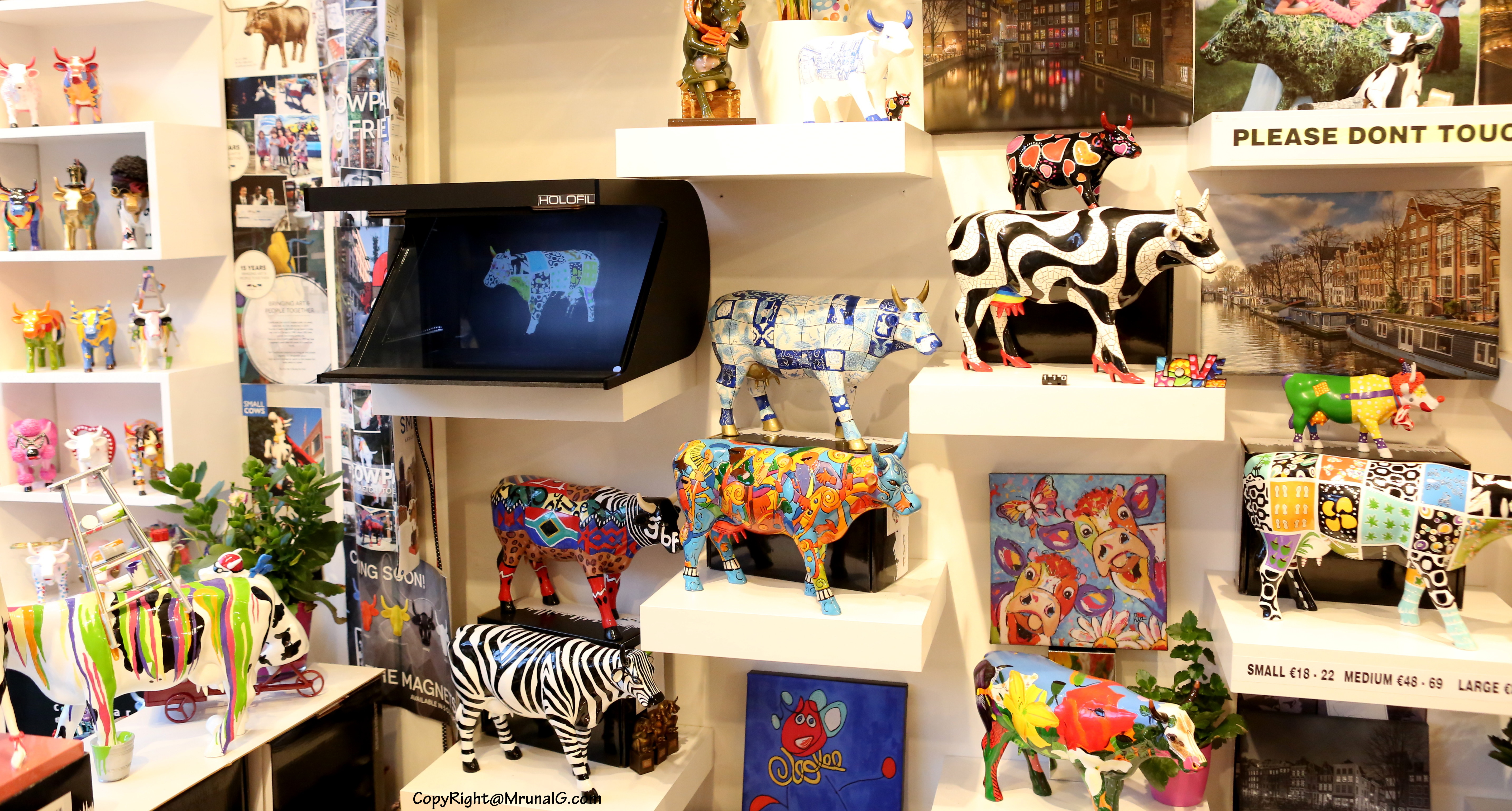 Cow museum