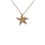Miniaturbild: Collier Seesterne Sterling Silber gelbvergoldet Zirkonia weiß