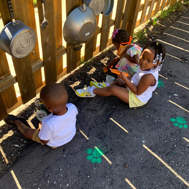 Searching for insects