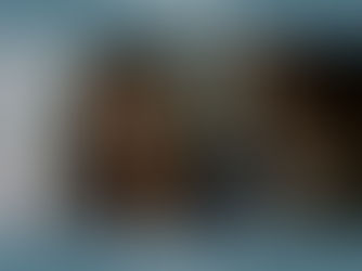 Next film celebrates austrian premiere!