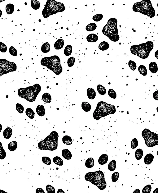 S826_Paw_Prints_4.webp