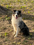 IMG_4483.jpeg