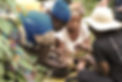 1A2A9539_edited.jpg
