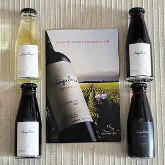 Captura de Tela 2021-09-12 às 20.28.39.png