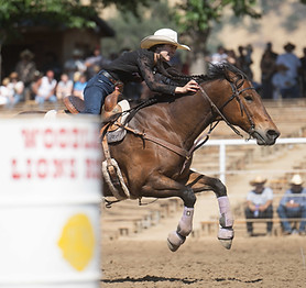 Barrels - McKenna Coronado.jpg