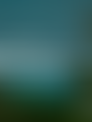 Controlla le tue debolezze