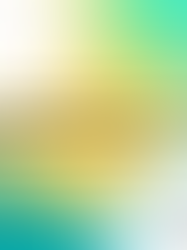 Felici perché perdonati