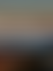 Un fallito al tavolo del re