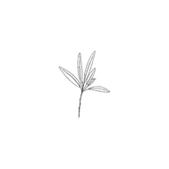 Design ohne Titel(2).png