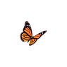 Trilha__20_-removebg-preview.png
