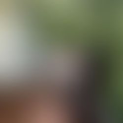 Is It Time to Replace Your Deck? Here's What Homeowners in St. Louis and Jefferson County Need to Know!