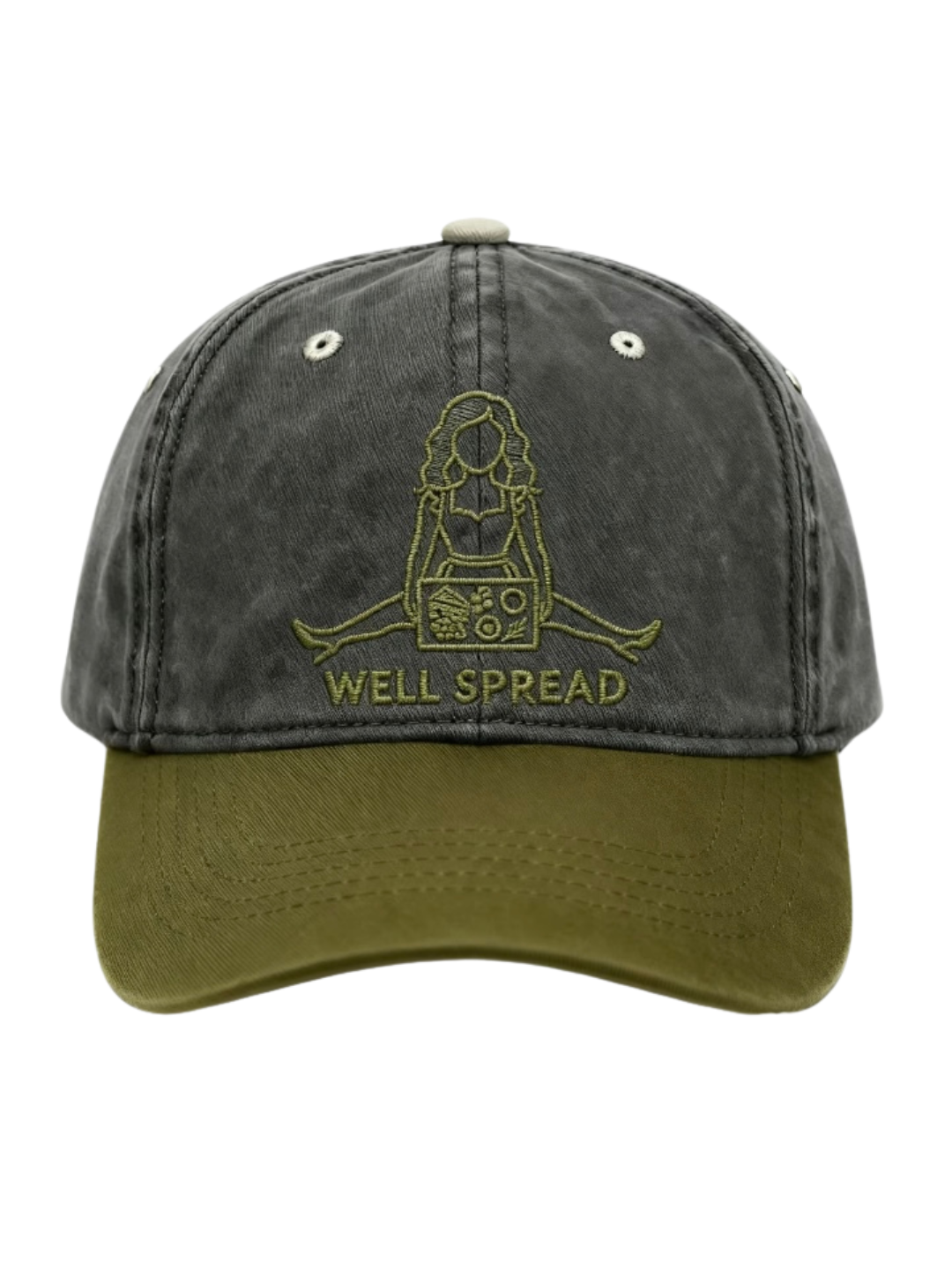 Well Spread Vintage Wash Ball Cap