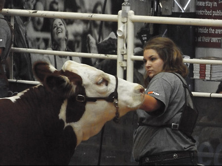 Showmanship