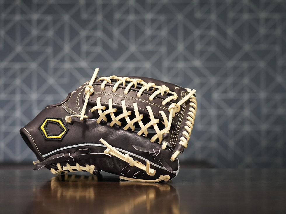 サムネイル： PREMIUM STEER HIDE