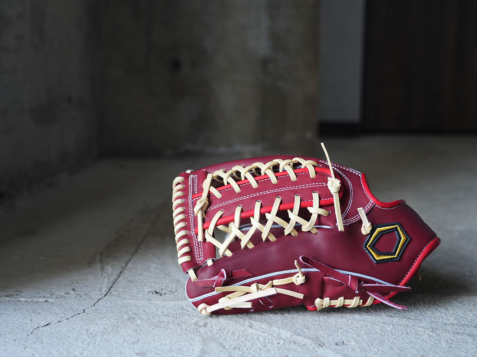 サムネイル： PREMIUM STEER HIDE