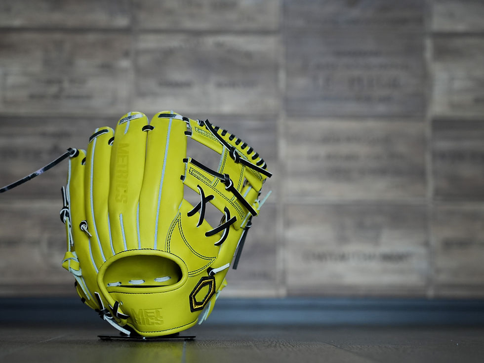 サムネイル： PREMIUM STEER HIDE