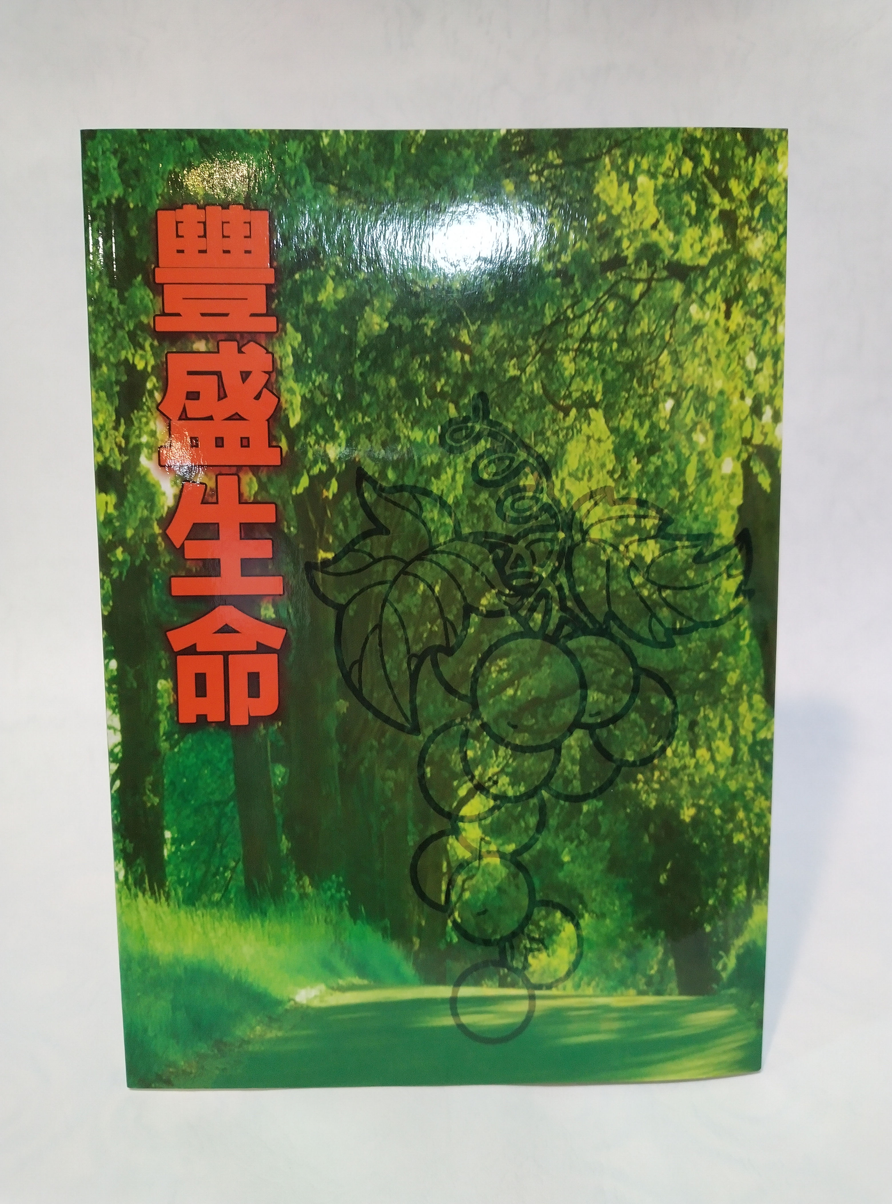 Abundant Life─12th Week Beginning Faith Cultivation Materials