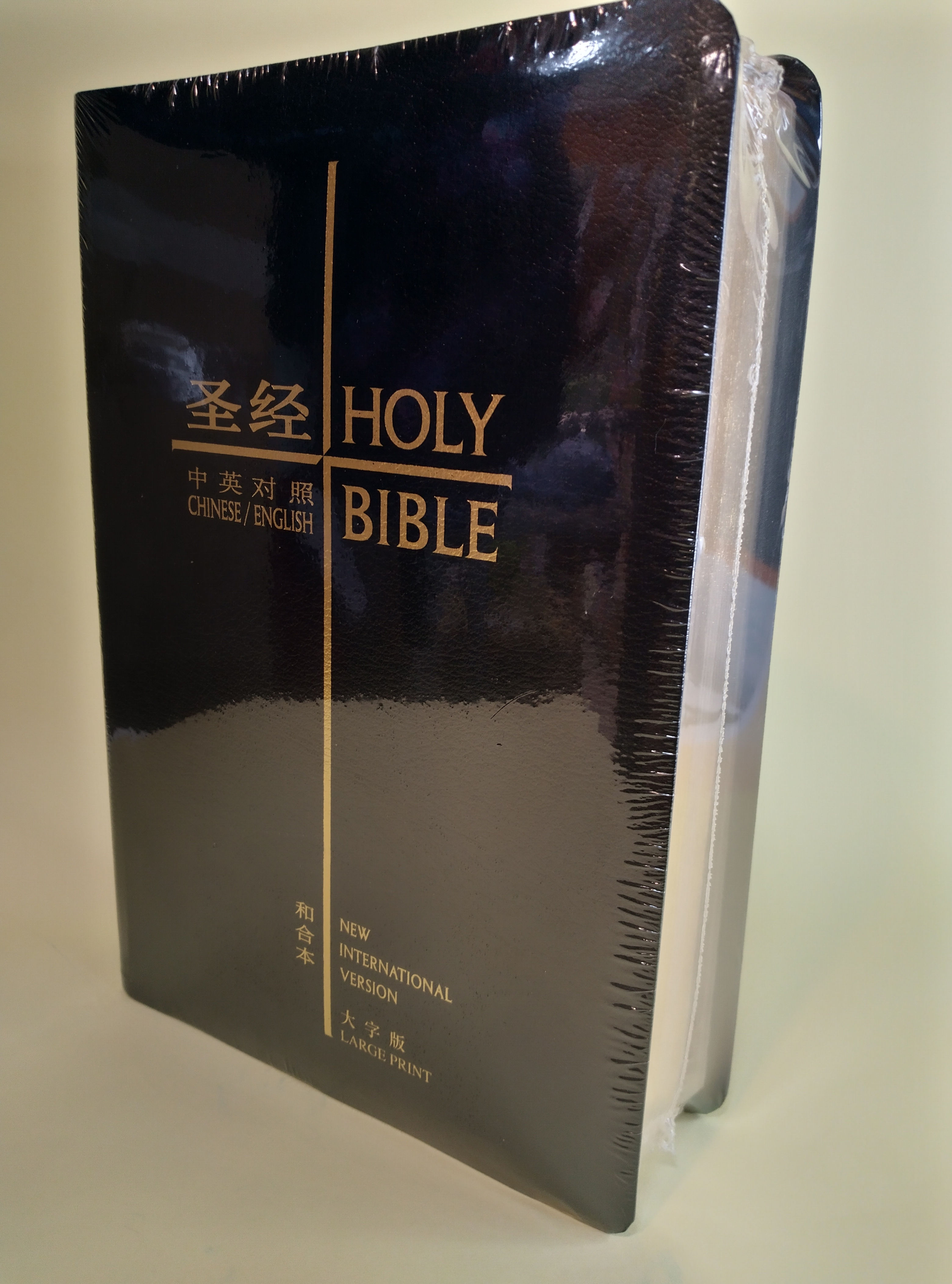 Chinese and English Bible [Simplified Union Version & NIV/CBS1260/Black leather with gold edges]