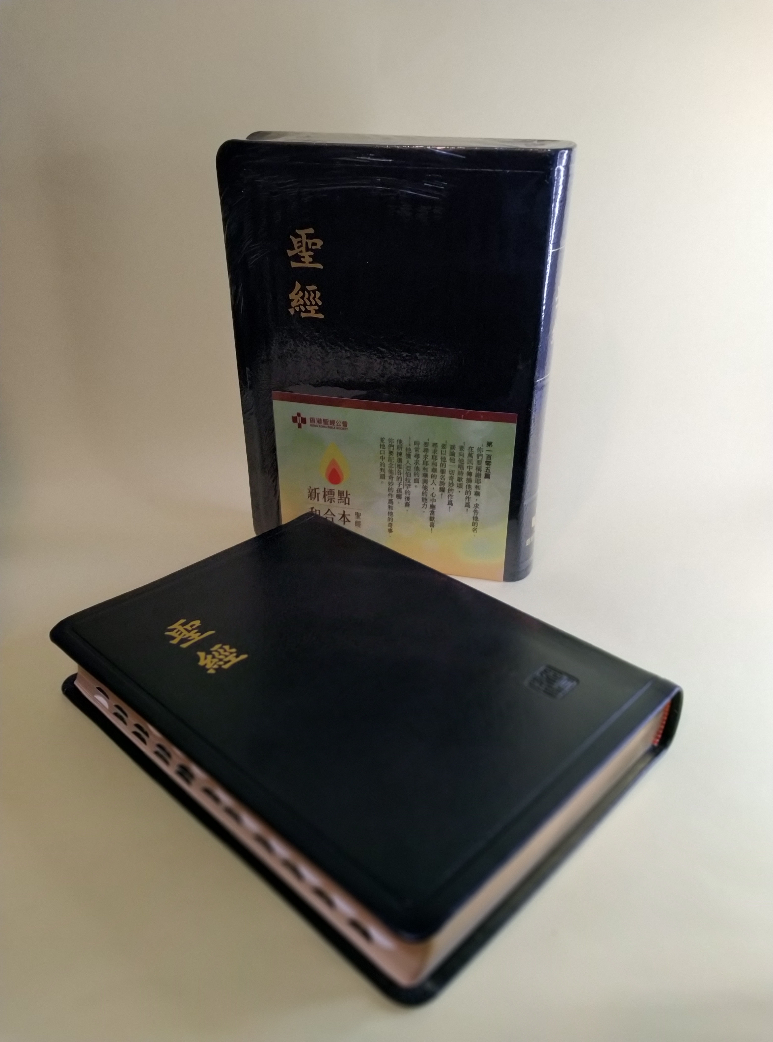 Bible [CUNP67ATI New Punctuation Union Version/Black Leather/Index]