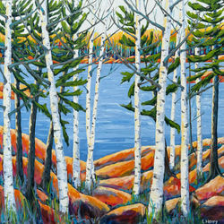 Lakeside Dreams