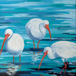 Ibis 24 x 24 x 1