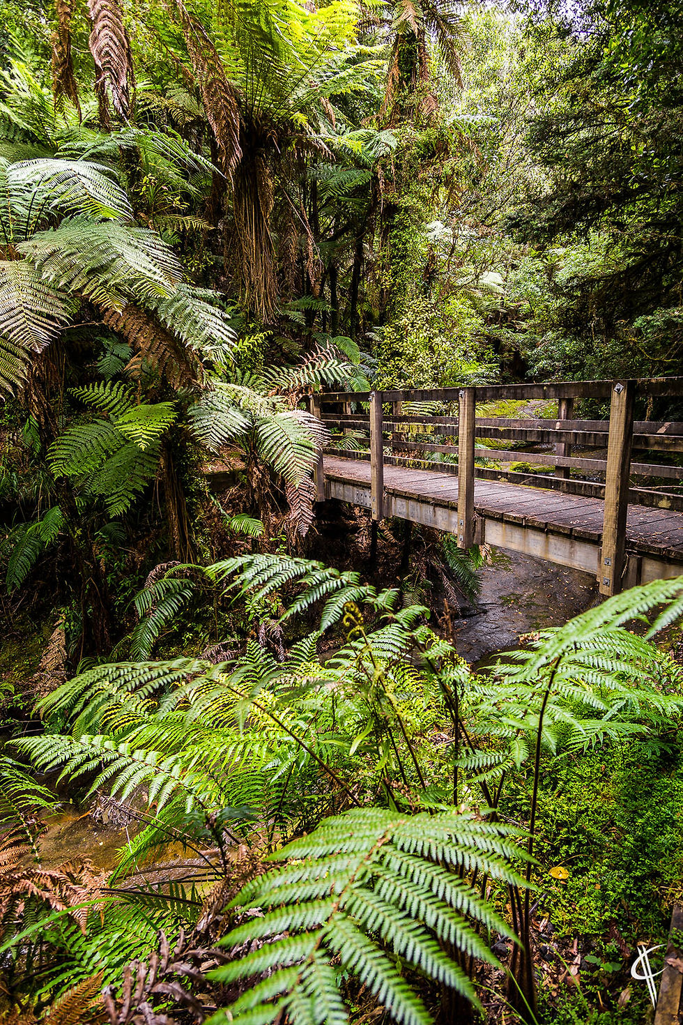 Scenic bridge