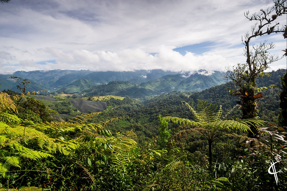 Biotopo de Quetzal