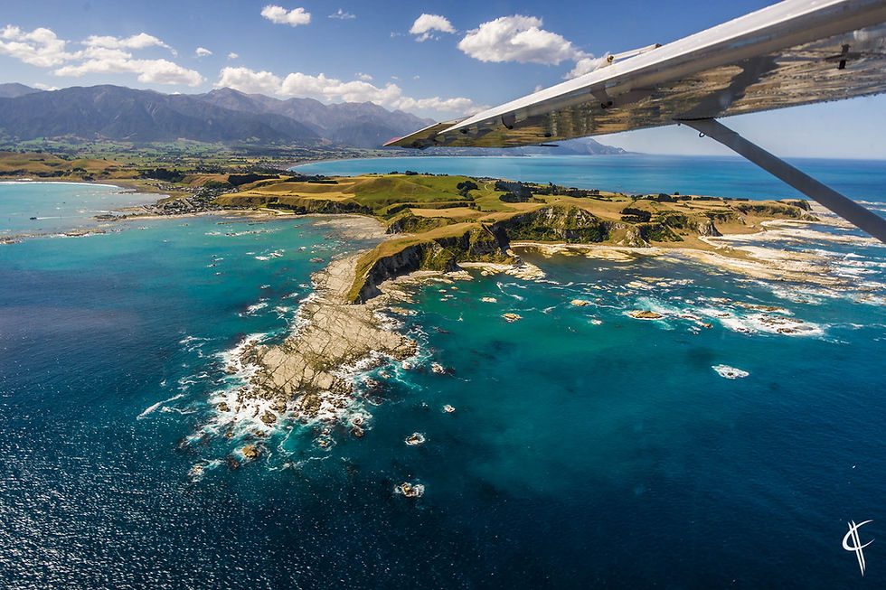 Kaikoura penninsula from above