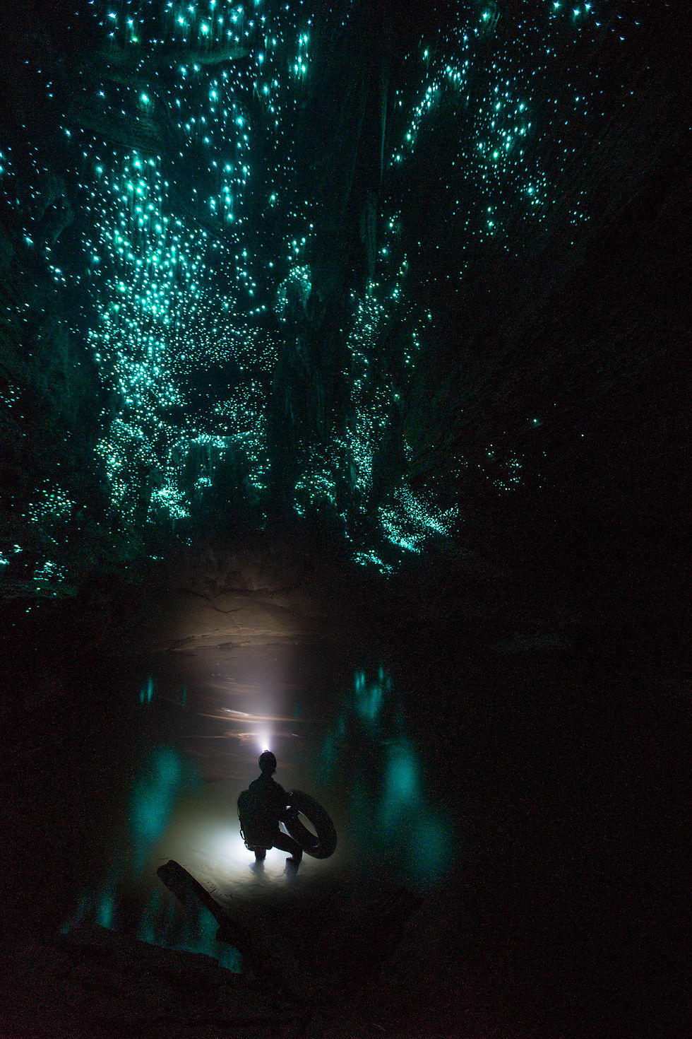 Waitomo Glowworms (Photo by Simon/BWRafting)