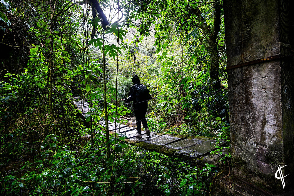 Cocora Valley: Walking in the rain