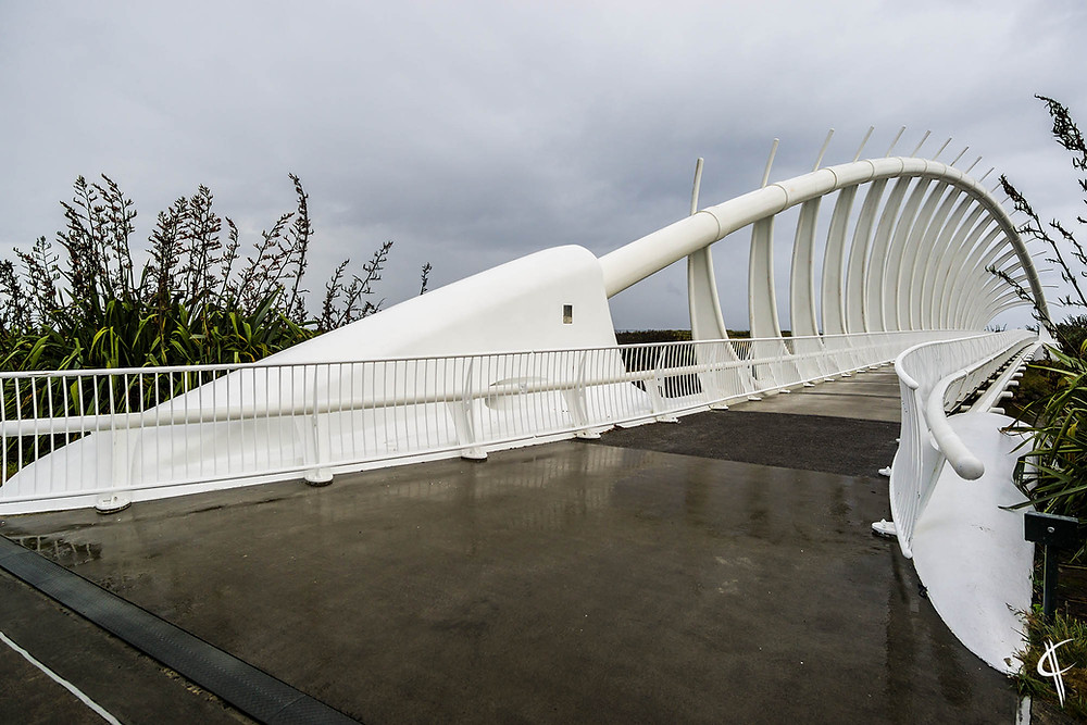 Te Rewa Rewa Bridge, New Plymouth