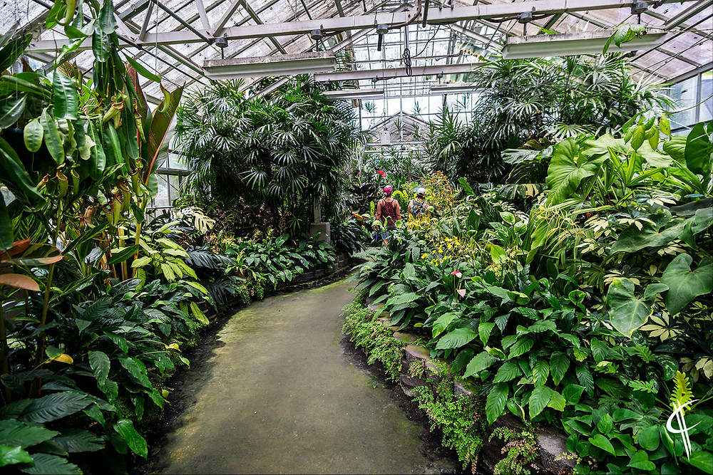 Arboretum