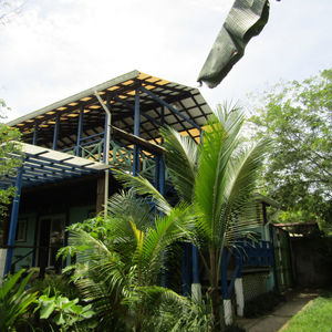 Outdoor View of House
