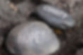 stones-message.jpg
